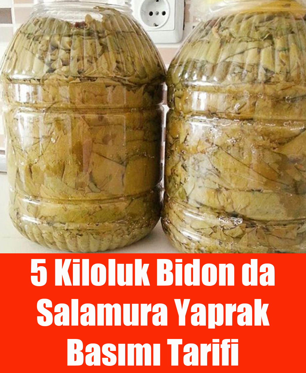 5 Kiloluk Bidon da Salamura Yaprak Basımı - 1